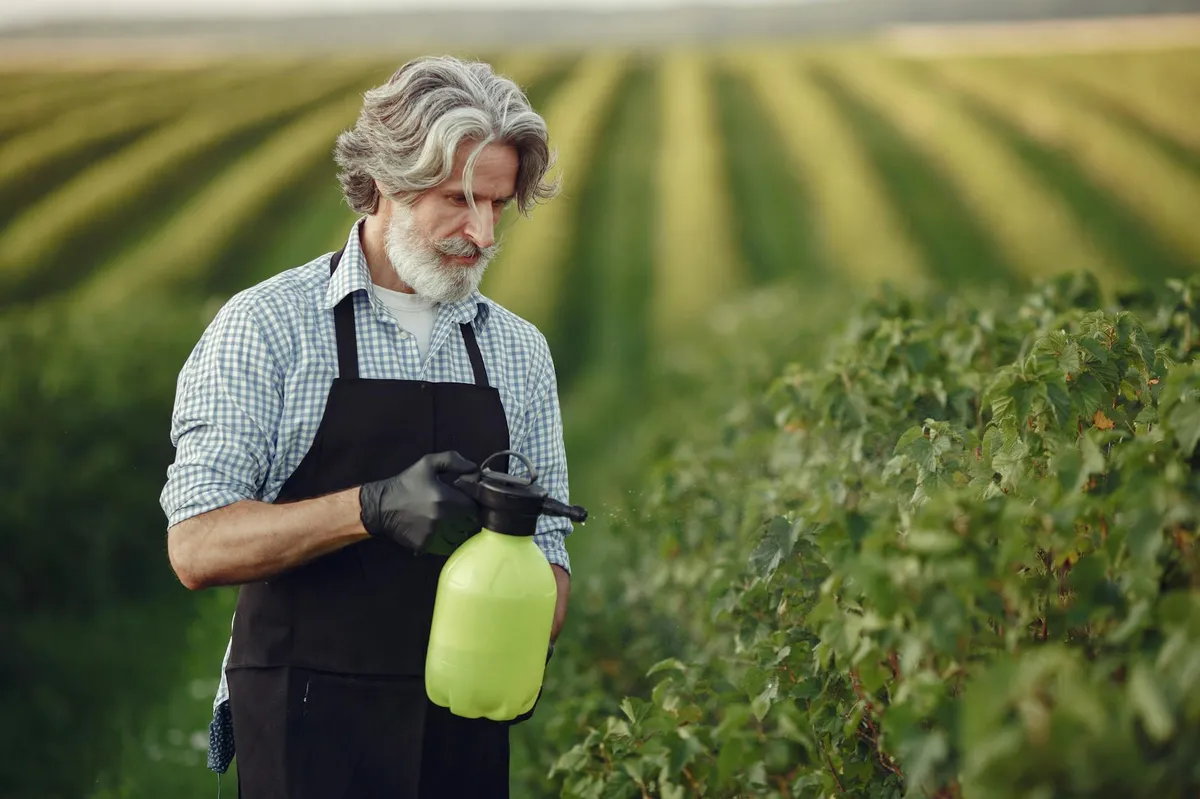 Pesquisador agrônomo em campo avaliando culturas agrícolas