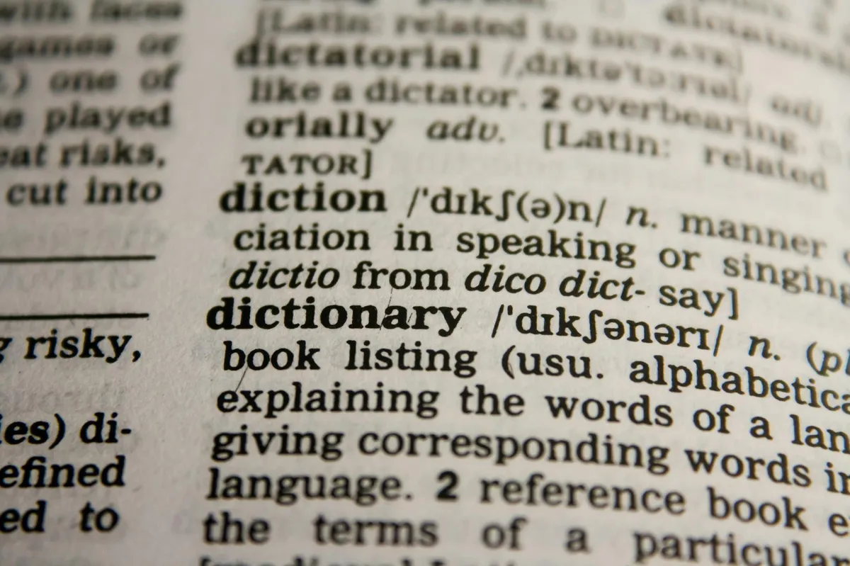 Pesquisadora lendo artigo científico em inglês em frente ao computador