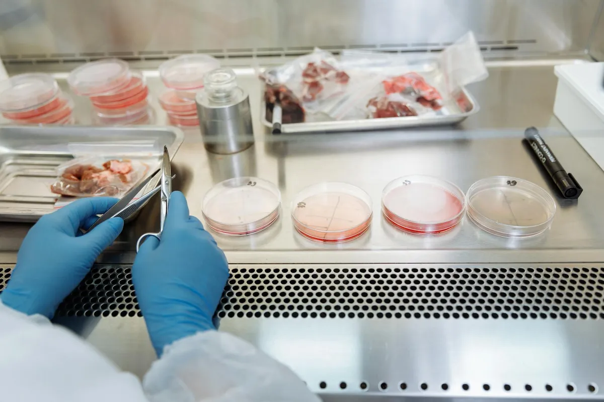 Cientista de nutrição em laboratório analisando amostras de alimentos com equipamentos científicos