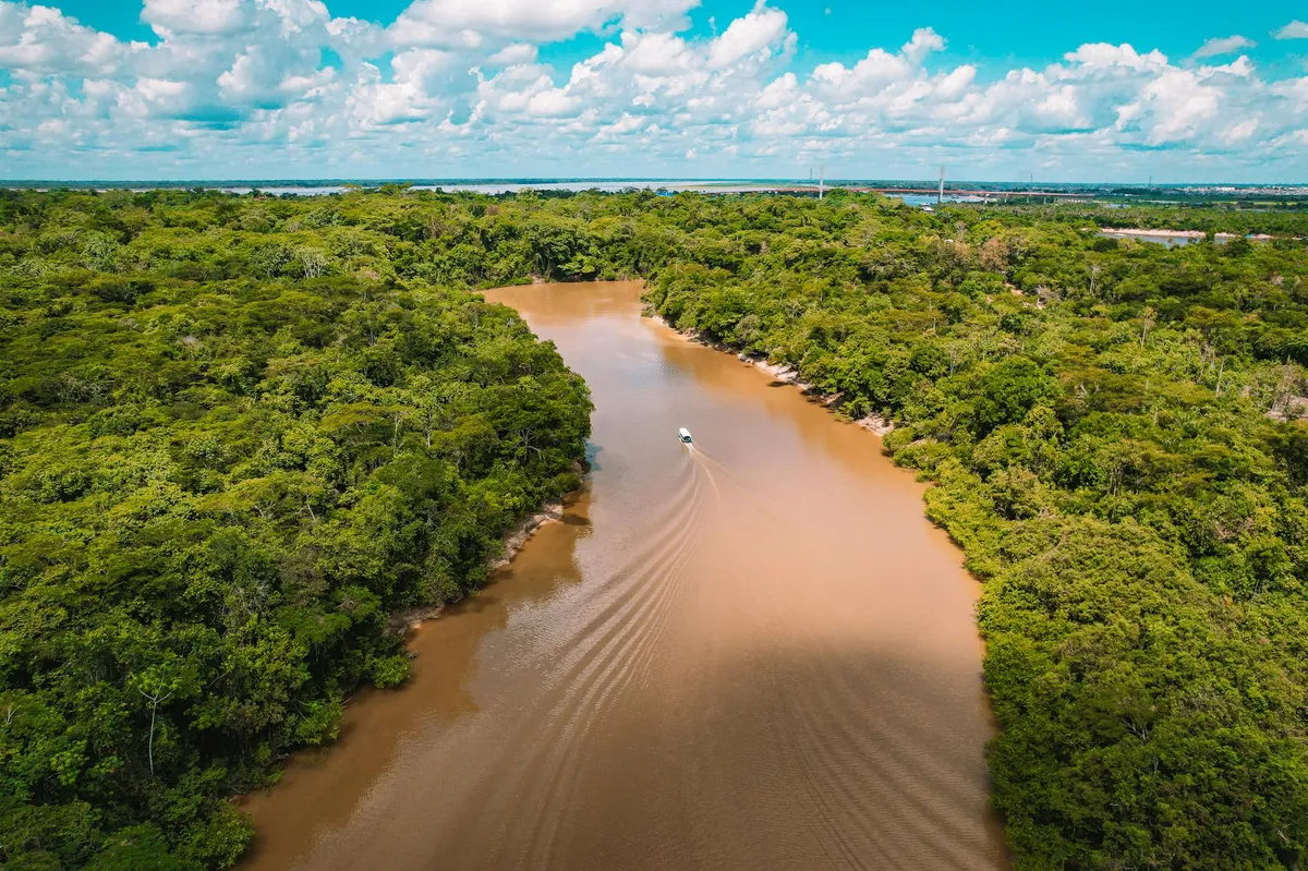 Vista aérea da floresta Amazônica com rio cortando a vegetação