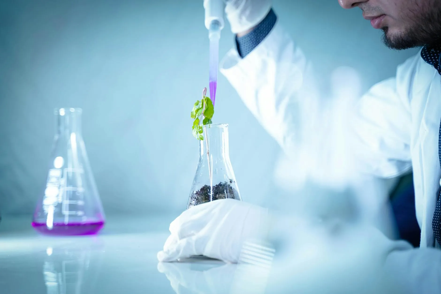 Laboratório de pesquisa com plantas e equipamentos de biotecnologia agrícola